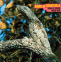 Roche, Jean C: Birds Of Venezuela - VINYL