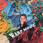 Flobama: Warp Mode - CASSETTES