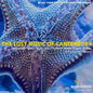Aston / Blue Heron: Lost Music of Canterbury - CD