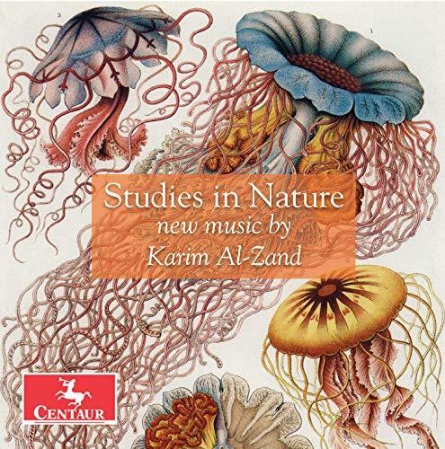 Al-Zand / Roitstein / Hauschildt: Studies in Nature - CD