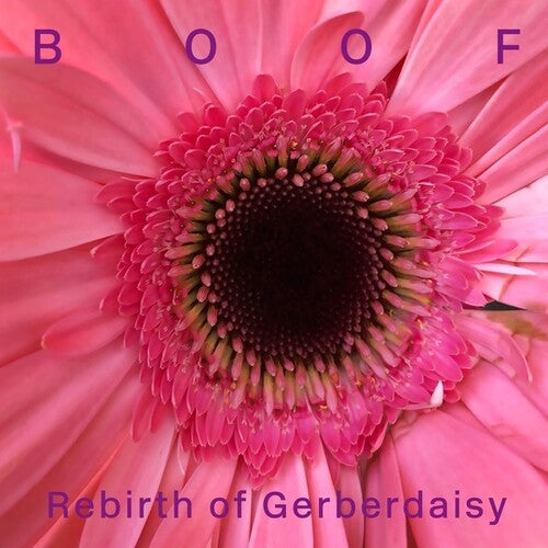 Boof: Rebirth of Gerberdaisy - VINYL