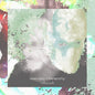 Osheyack: Memory Hierarchy - 12-INCH SINGLE