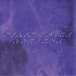 Darkstar: Civic Jams Remixes - VINYL