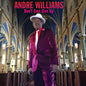 Andre Williams: Dont Ever Give Up - VINYL
