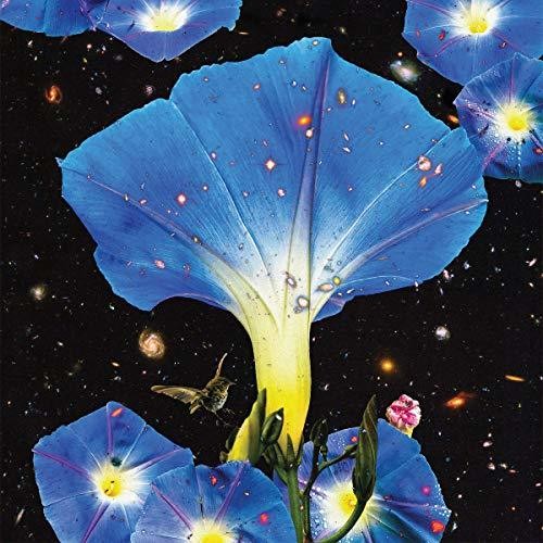 Sarah Louise: Nighttime Birds And Morning Stars - VINYL