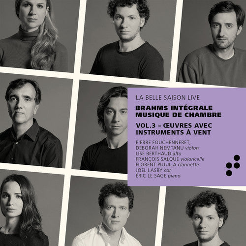 Brahms / Pujuila / Nemtanu: Integrale Musique de Chambre 3 - CD