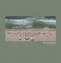 Donna Regina: Transient - VINYL