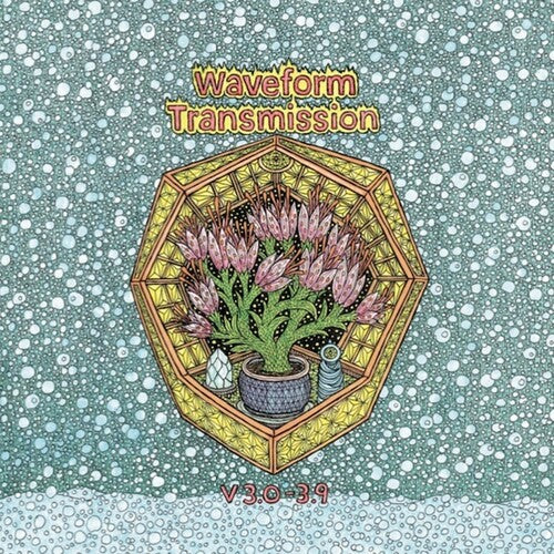 Waveform Transmission: V 3.0 - 3.9 - VINYL