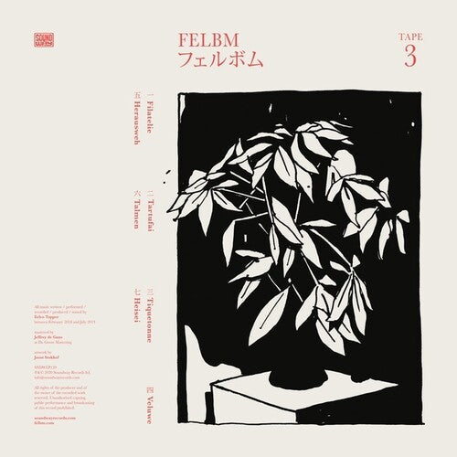 Felbm: Tape 3 / Tape 4 - VINYL