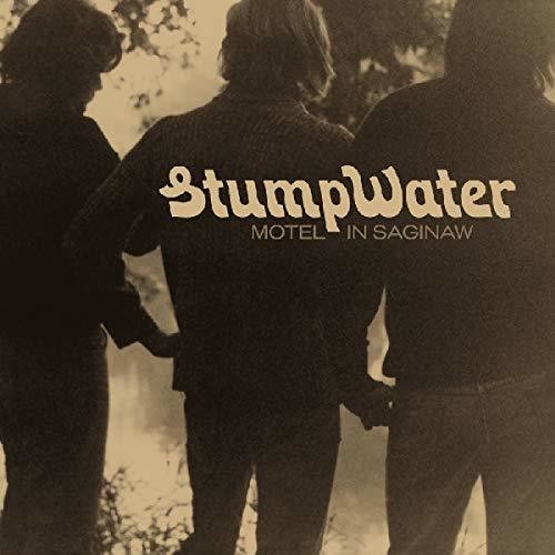 Stumpwater: Motel In Saginaw - VINYL
