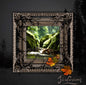 Isiulusions: I: Follow The Flow - CD