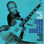 John Lee Hooker: That's My Story - VINYL