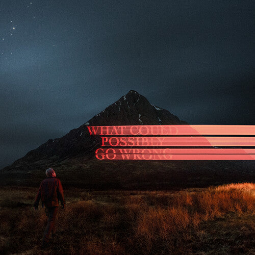 Dominic Fike: What Could Possibly Go Wrong - CD