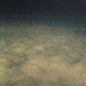 Moon Zero: Relationships Between Inner & Outer Space - VINYL