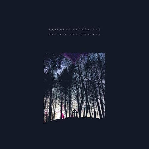 Ensemble Economique: Radiate Through You - VINYL