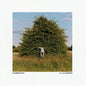 Grandbrothers: All The Unknown - CD