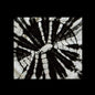 Coh Dada 999 (Coil): Hunger - 7-INCH SINGLE