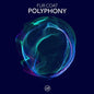 Fur Coat: Polyphony - VINYL