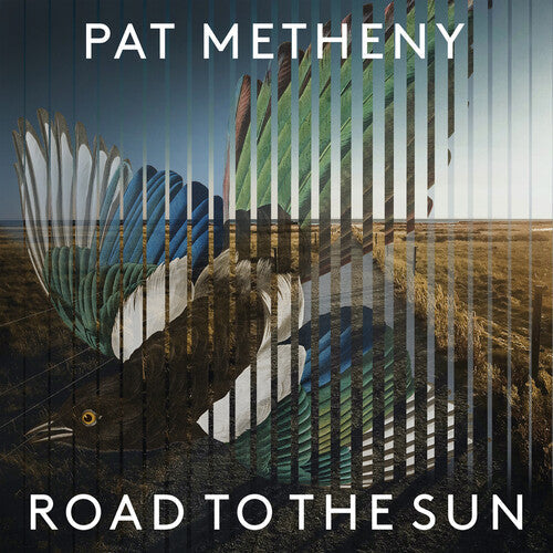 Pat Metheny - Road To The Sun - VINYL