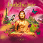 Various Artists: Buddha Bar XXI: Paris The Origins / Various - CD