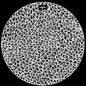 Bengal Sound: Corners - VINYL