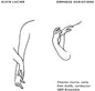 Lucier: Orpheus Variations - CD