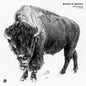 Brecht, Johannes / Fetsum: Winter In America - 12-INCH SINGLE