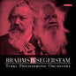 Brahms / Turku Philharmonic Orch / Segerstam: Brahms Iv Segerstam - SUPER-AUDIO CD
