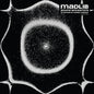 Madlib: Sound Ancestors (arranged By Kieran Hebden) - CD