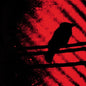 Silver Mt. Zion: Born Into Trouble As the Sparks Fly Upward - CD