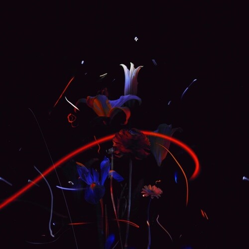 Heinali: Madrigals - VINYL