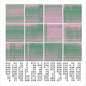 Hecker: Synopsis Seriation - CD