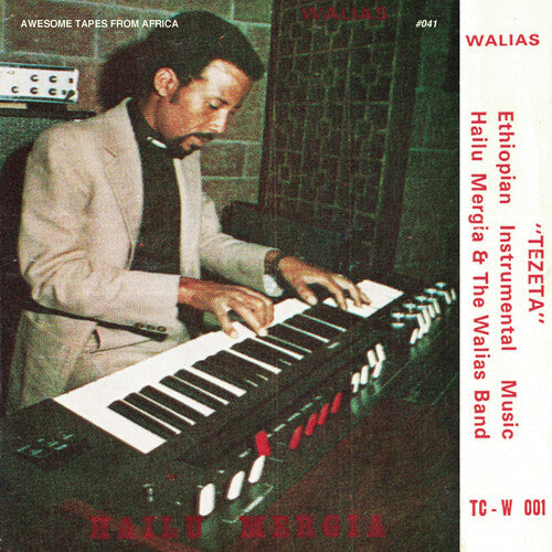Hailu Mergia & The Walias Band - Tezeta - VINYL