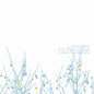 The Shins - Oh, Inverted World - VINYL