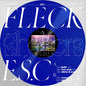 Fleck E.S.C.: Shelters - VINYL