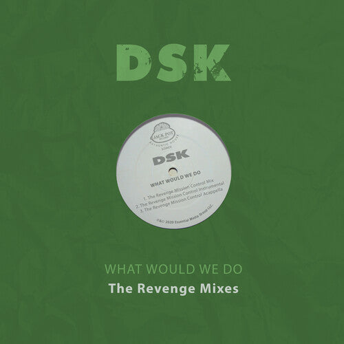 DSK: What Would We Do - The Revenge Mixes - CD