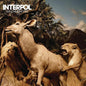 Interpol - Our Love To Admire - VINYL