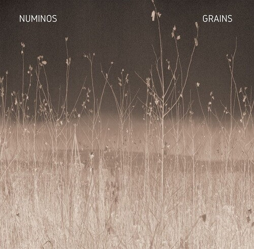 Numinos: Grains - VINYL