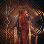My Morning Jacket - It Still Moves - VINYL