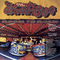 The Waterboys - Room To Roam - VINYL