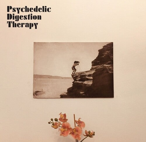 Psychedelic Digestion Therapy: Psychedelic Digestion Therapy - VINYL
