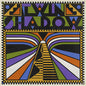 Twin Shadow: Twin Shadow - VINYL