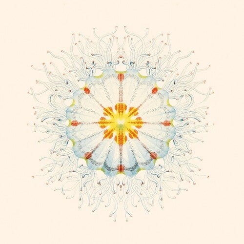 Charlie Charlie: Litte Things - VINYL