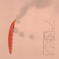ZRL: Our Savings - VINYL