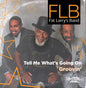Fat Larry's Band: Tell Me What's Going On / Groovin' - CD