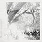 Leaving Laurel: Leaving Laurel - VINYL