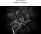 Jane in Ether: Spoken / Unspoken - CD