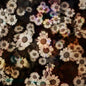 L'Orange: The World Is Still Chaos But I Feel Better - CD