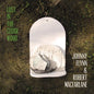 Johnny Flynn: Lost In The Cedar Wood - CD