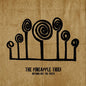 Pineapple Thief: Nothing But The Truth - CD